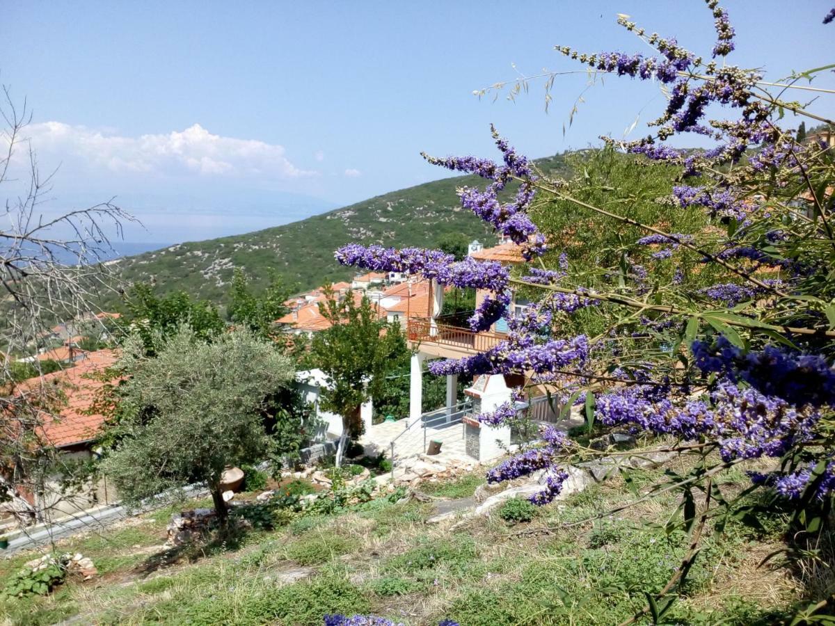 Dimitra'S Garden Villa Kallirákhi Extérieur photo