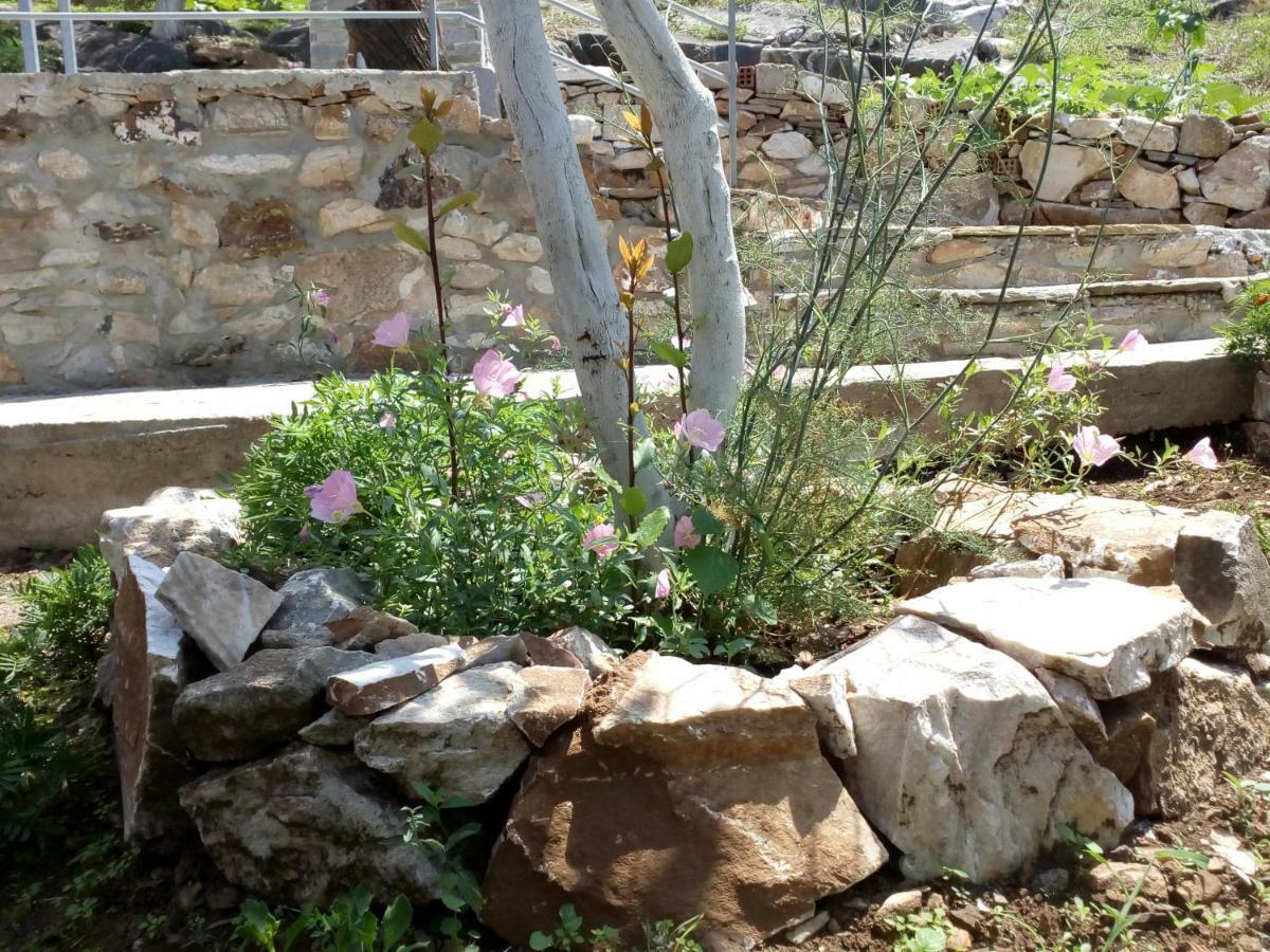 Dimitra'S Garden Villa Kallirákhi Extérieur photo